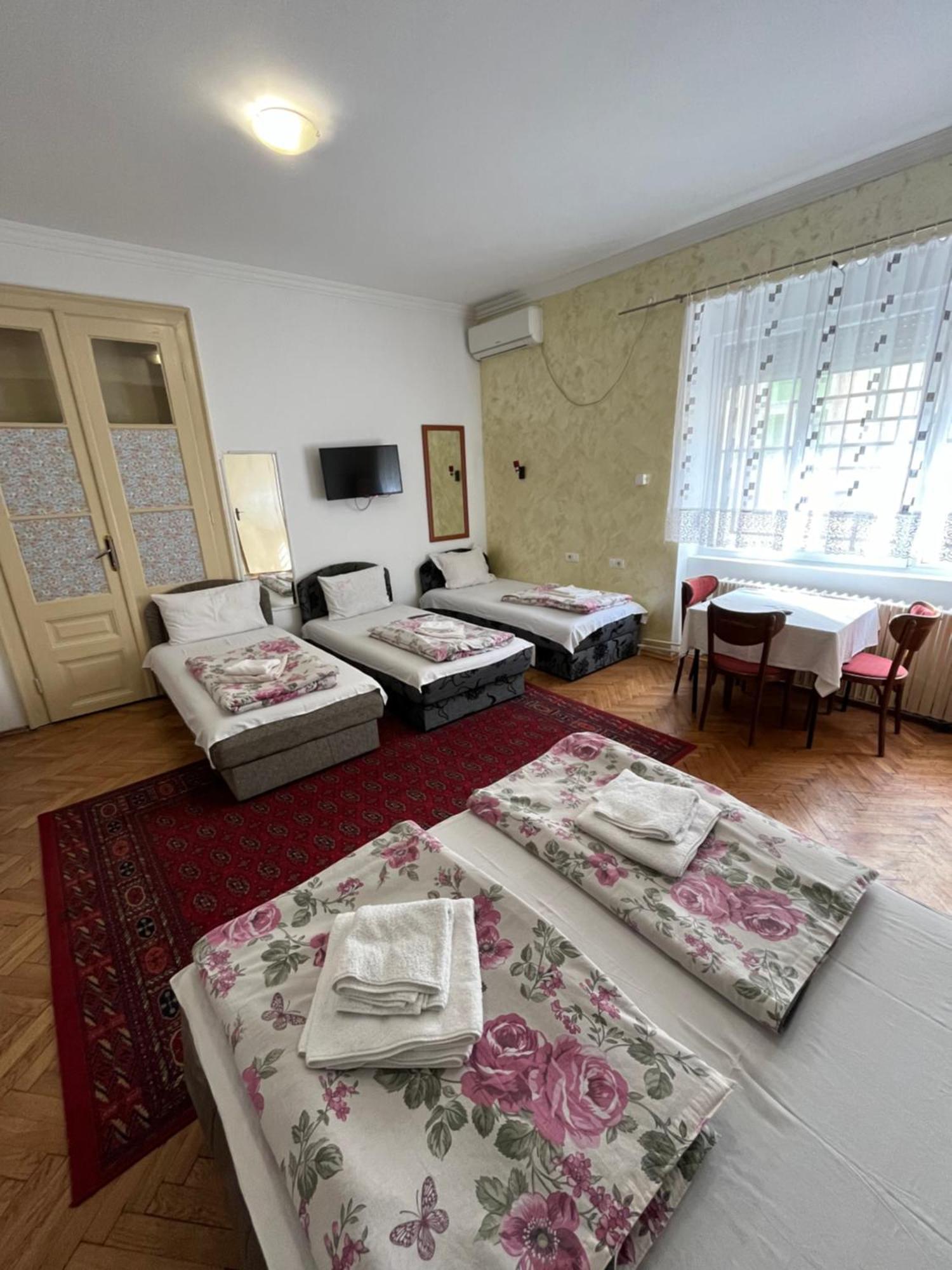 Sobe Sa Sopstvenim Kupatilom Private Rooms Bathroom In Center Novi Sad Extérieur photo