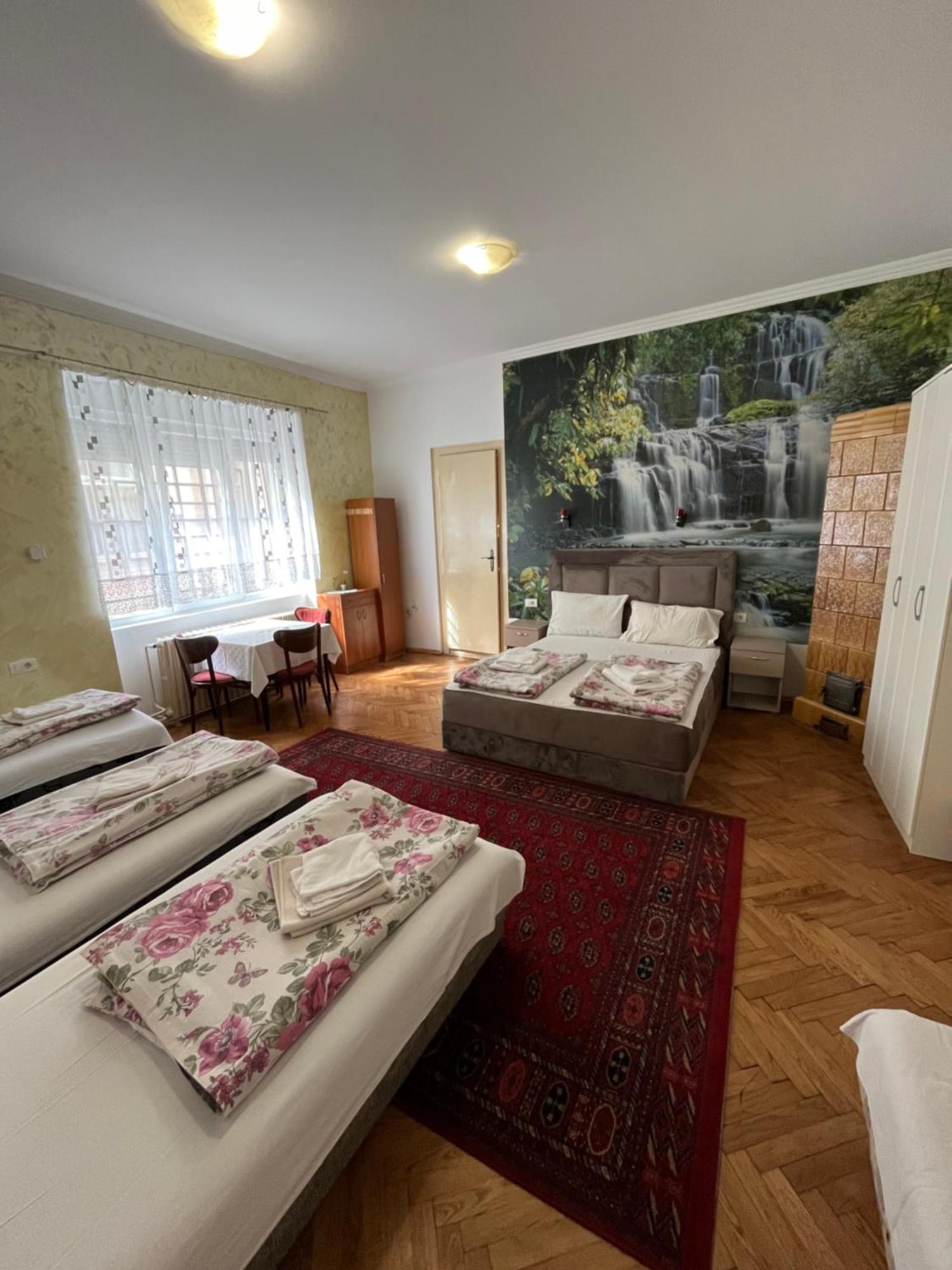 Sobe Sa Sopstvenim Kupatilom Private Rooms Bathroom In Center Novi Sad Extérieur photo